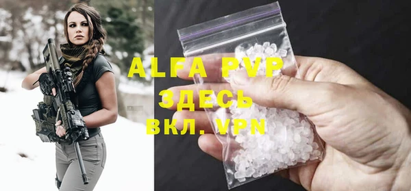 стафф Алексин
