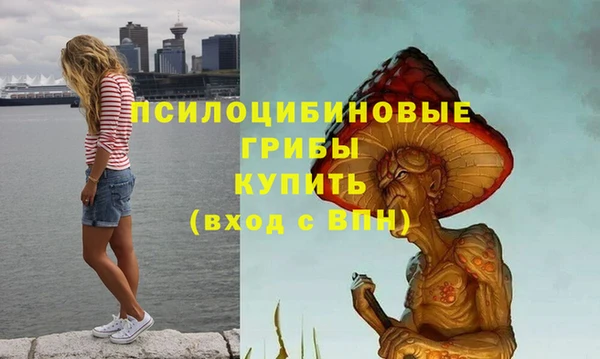 амф Алзамай