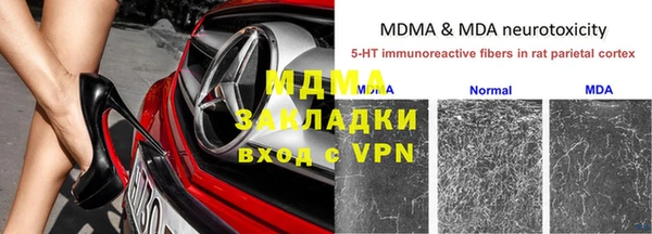 стафф Алексин