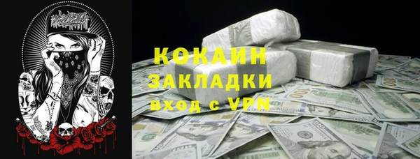 стафф Алексин